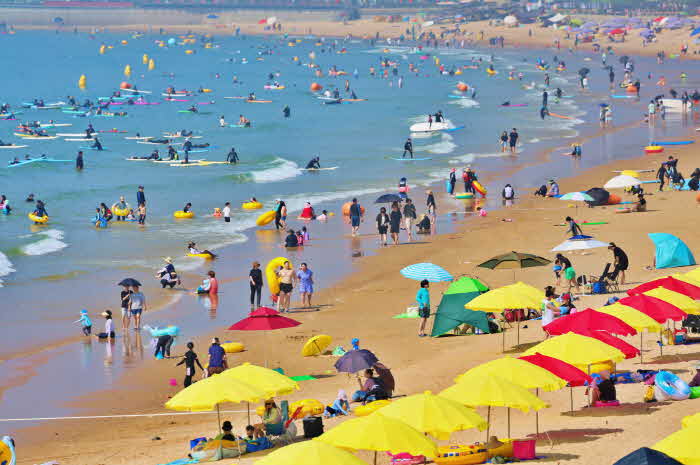 해수욕장 운영 성과 1(만리포 240804).jpg