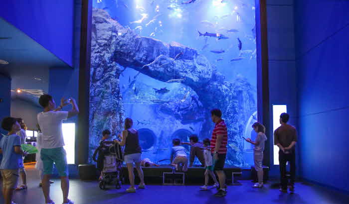 보도 1) 다누리아쿠아리움.jpg