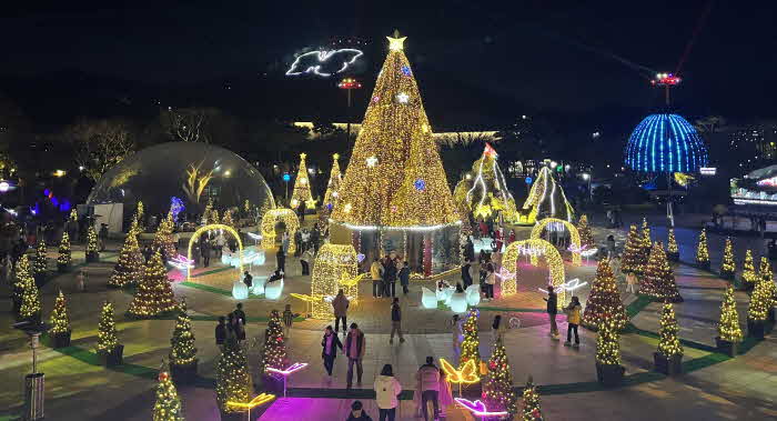 전남겨울축제- 함평 빛축제.jpg