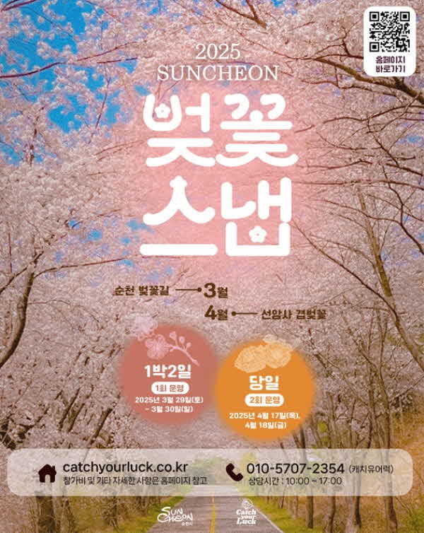 4 벚꽃길 따라 감성 가득! 지역 이야기를 담은 특별한 스냅사진 여행.jpg