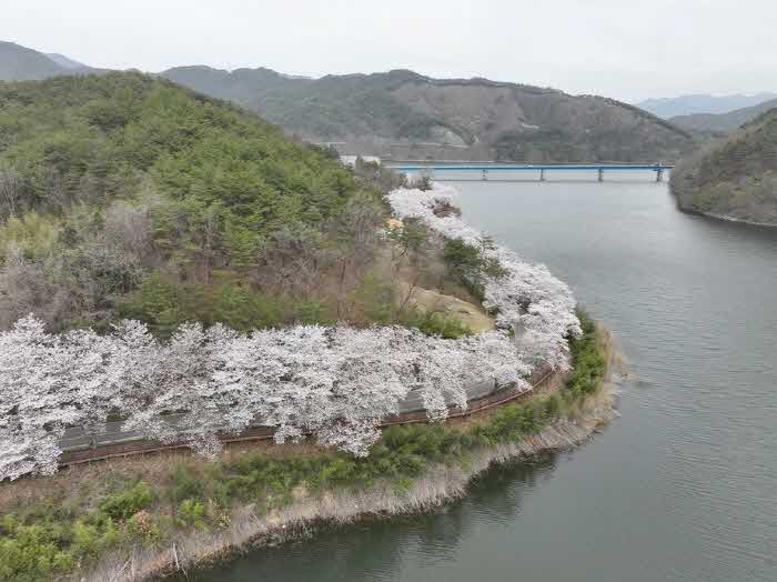 924x1_1742365936 (1).jpg