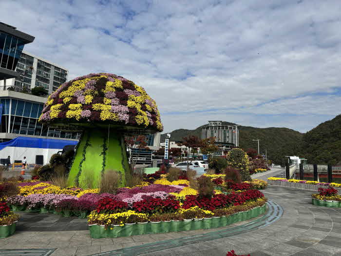 보도 1) 국화거리(3).jpg