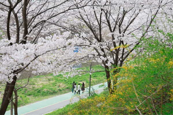 양재천.jpg
