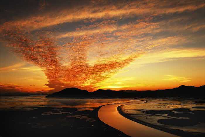 1 순천만습지 노을.jpg