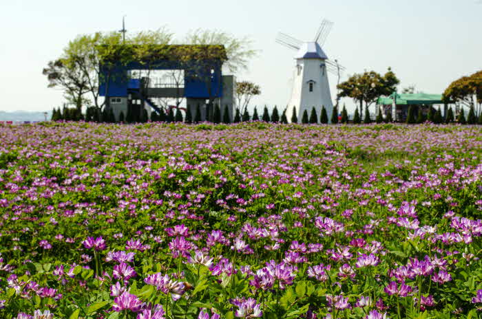 자운영 전경_1.jpg