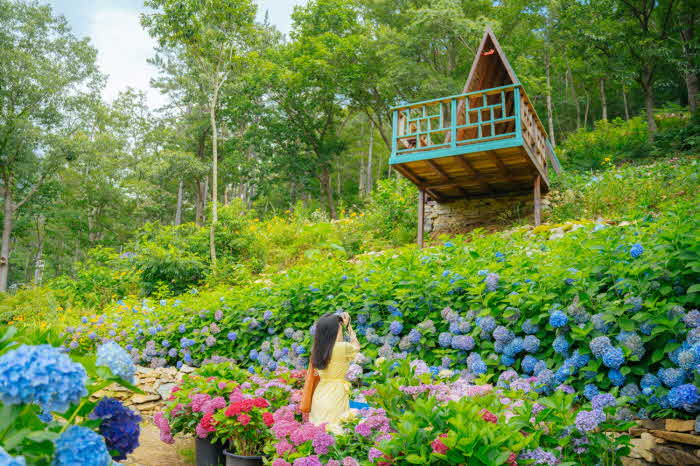 10-포레스트수목원 (1).jpg