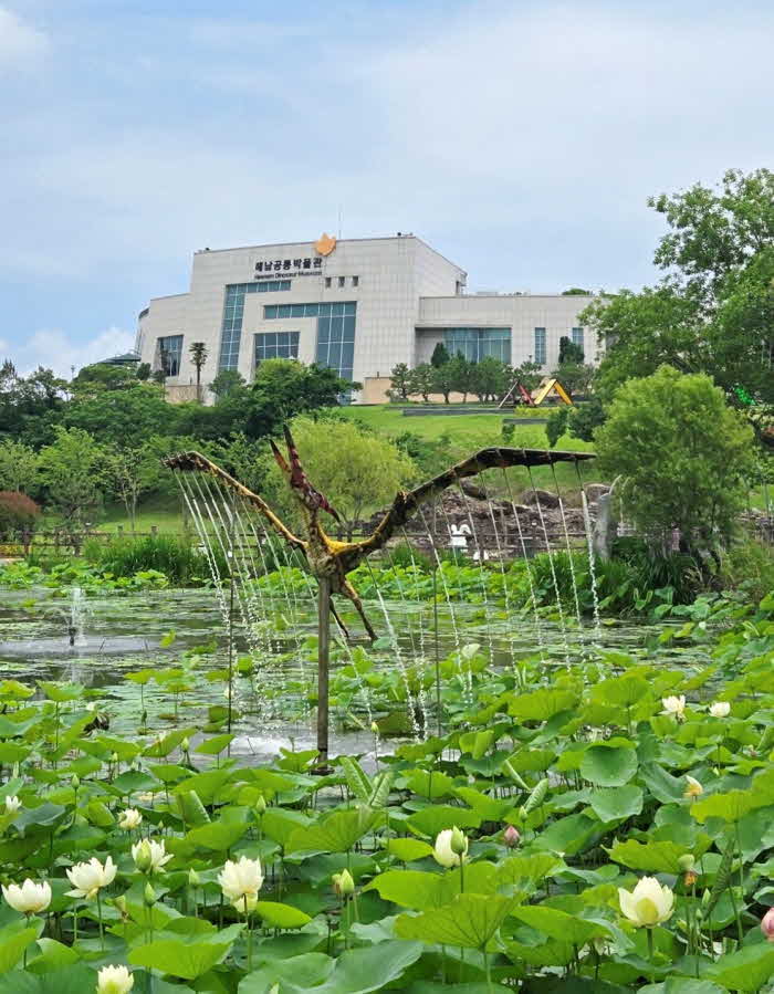 10-공룡박물관 연꽃 활짝  (1).jpg