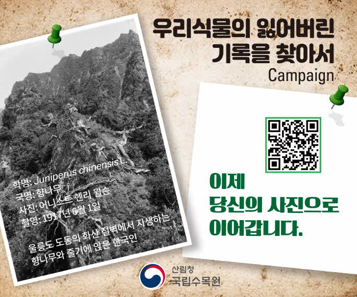 [사진자료] 국립수목원, ‘우리식물의 잃어버린 기록을 찾아서’ 사진 공모전 개최.jpg