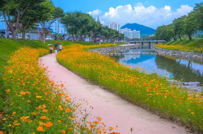 순창0819-순창양지천사계절꽃길품은관광명소로발돋움!!.jpg