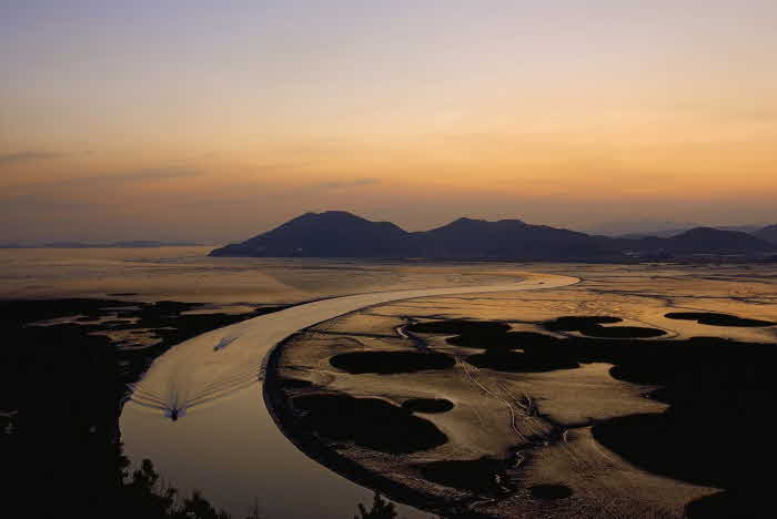 1 순천만습지.jpg