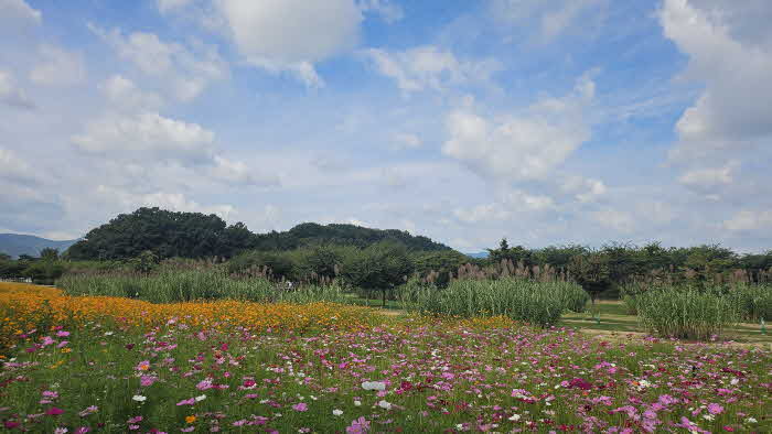 가을창포원 전경.jpg