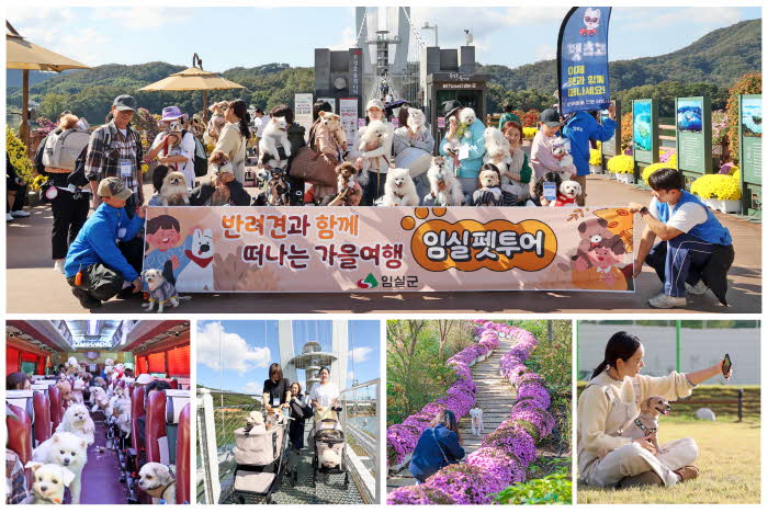 1. 반려견과 함께 특별한 가을 여행 임실 펫투어 해피댕댕.jpg