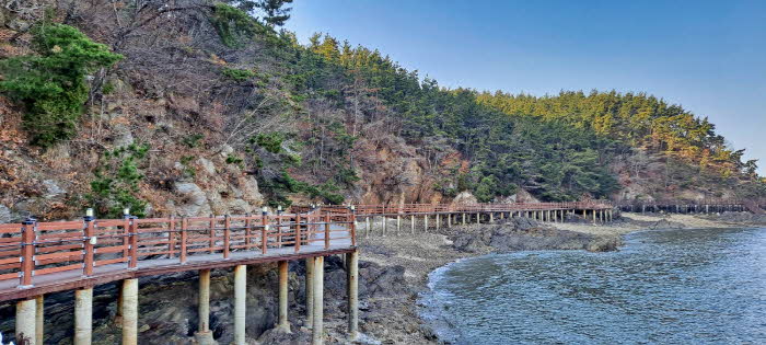 솔향기길 축제 3.jpg