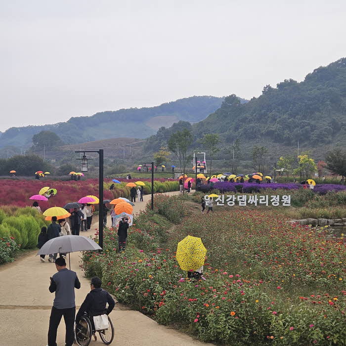 연천군 중면 임진강 댑싸리정원, 지역 관광명소로 우뚝.jpg