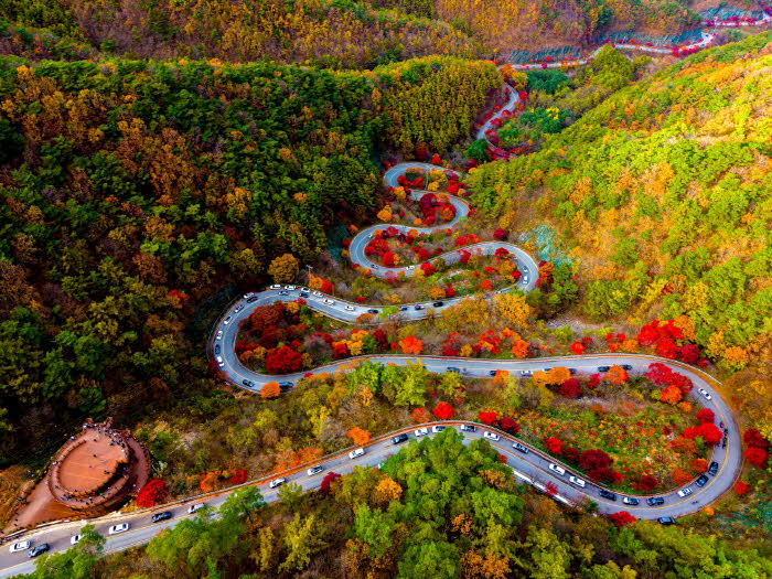 보도 1) 보발재.jpg