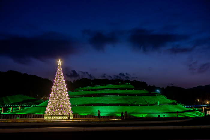 1 밤을 밝히는 순천만국가정원 호수정원 대형트리.JPG