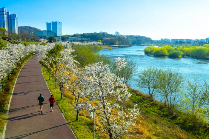 진주시 ‘진주관광 전국사진 공모전’ 시상식 개최- 금상  임정희 진주남강 꽃길.jpg