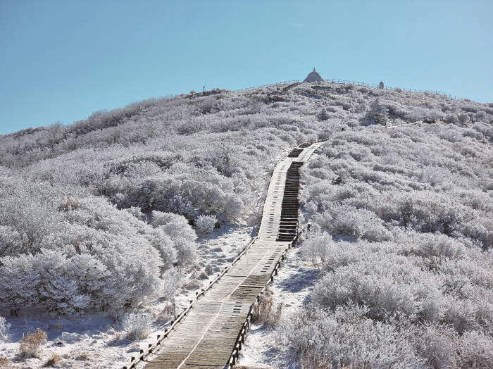 추천관광지- 구례 지리산 노고단 (1).jpg