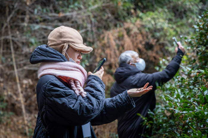 5 신광수 명인의 야생차밭에서 차 이야기를 듣고 씨앗을 관찰하며 현장을 체험하는 참가자들.jpg