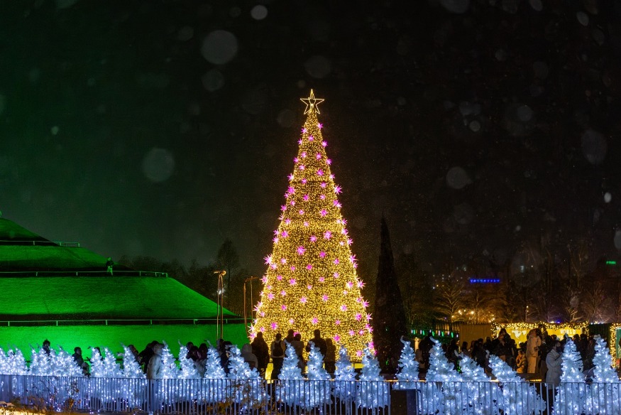 3 대형트리와 화이트트리 거리.JPG