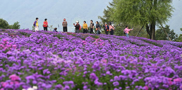 감악산 별바람 언덕 관광객.jpg