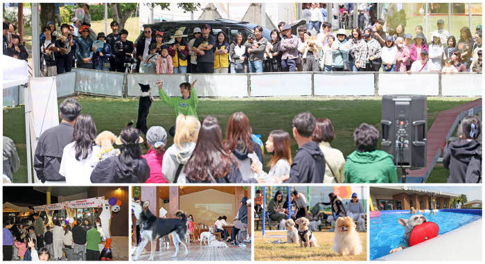 1. 오수의견 국민여가 캠핑장 반려문화와 지역관광 잇는 플랫폼으로 성장.jpg