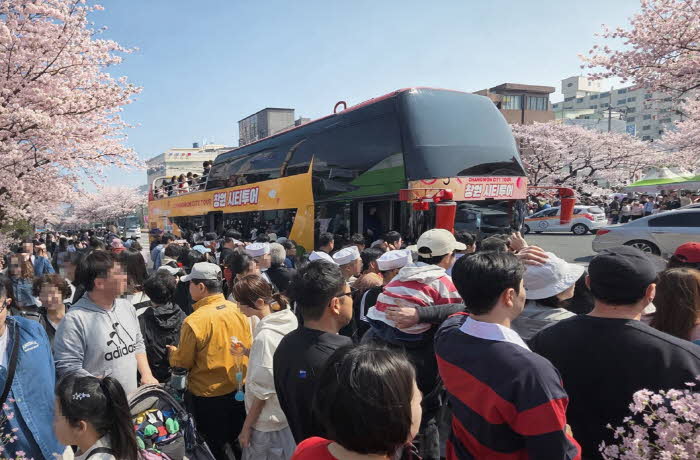 창원특례시 진해군항제‘벚꽃 투어버스’성황리 운행 중!(관광과).jpg