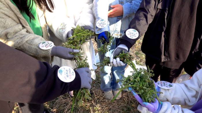 (남원읍) 2025년 고사리 축제 사진_2 (2).jpg