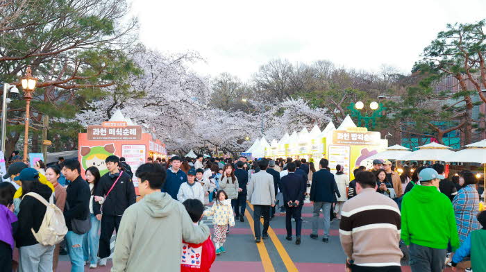 1-1+과천시+‘과천+맛집+스트릿’이+열린+렛츠런파크+서울+‘벚꽃축제’+현장.JPG