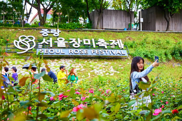 (0515)_중랑구,_제18회_‘중랑_서울장미축제’_화려한_개막!_(2).jpg