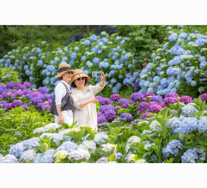 19-현산면 포레스트 수목원3.jpg